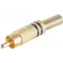 shiverpeaks BS52020-S Laido jungtis RCA Auksinė