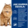 HILL'S PD K/D Kidney + Mobility Chicken - sausas kačių ėdalas - 3kg