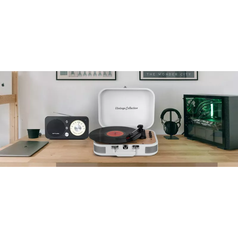 Muse MT-201WW Vinilinis grotuvas su stereo sistema, USB ir AUX