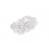 LANBERG RJ-45 kištukas PLU-5000, U/UTP (UTP), permatomas baltas, 100 vnt. pakuotėje