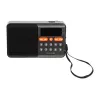 Nešiojamas analoginis AM/FM Bluetooth radijas BLOW RA18 su FM imtuvu ir belaidžiu ryšiu