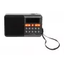 Nešiojamas analoginis AM/FM Bluetooth radijas BLOW RA18 su FM imtuvu ir belaidžiu ryšiu