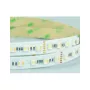 Synergy 21 LED Flex Strip 5050 - 84 RGB DC24V + RGB-WW (RGB-CCT) vieno lusto HD IP20