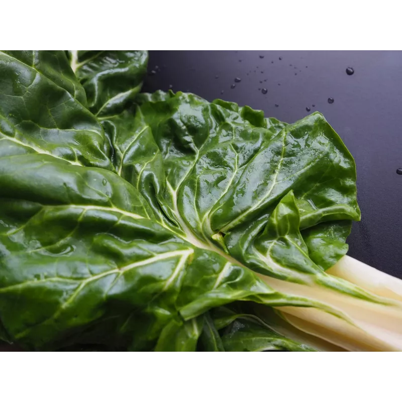 Lucullus Leaf Beet Toraf daržovių sėklos, 5g pakuotė