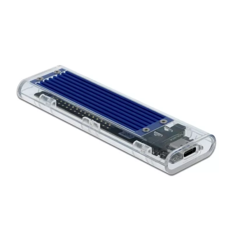 SSD korpusas DeLOCK 42620 išorinis korpusas M.2 NVMe PCIe SSD su USB Type-C moterišku permatomu