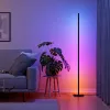 Stovimas šviestuvas Nanoleaf N7204K02-1FL 22W RGBW — reguliuojamas RGB ir baltos šviesos atspalvis