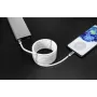 Renkforce USB 2.0 laidas, USB-C™ kištukas – USB-C™ kištukas, 2,00 m, baltas, auksuoti kontaktai (TO-6886785)