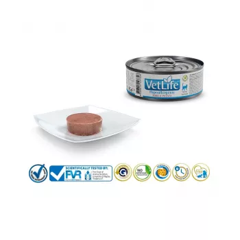 FARMINA Vet Life Hypoallergenic Pork & Potato - šlapias ėdalas katėms - 85 g