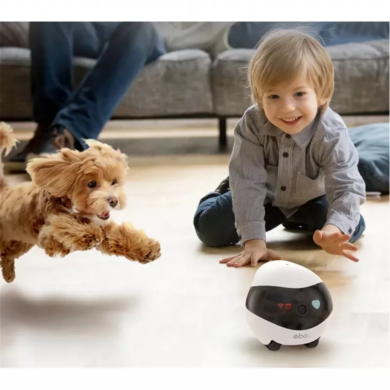 Enabot EBO SE robotinis IP fotoaparatas kompaktiškas N/A MP N/A 16GB išorinė atmintis, palaiko iki 256GB