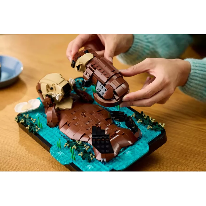 LEGO IDEAS 21366 Plūduriuojantys jūriniai ūdros