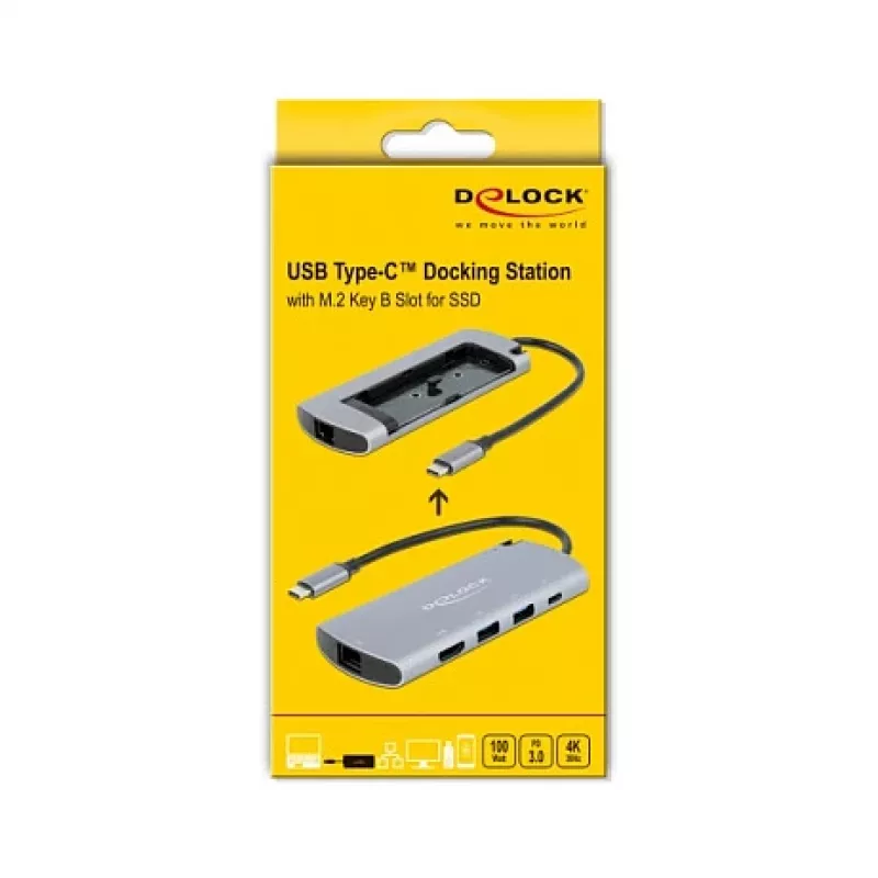 Docking stotelė DeLOCK USB Type-C su M.2 lizdu