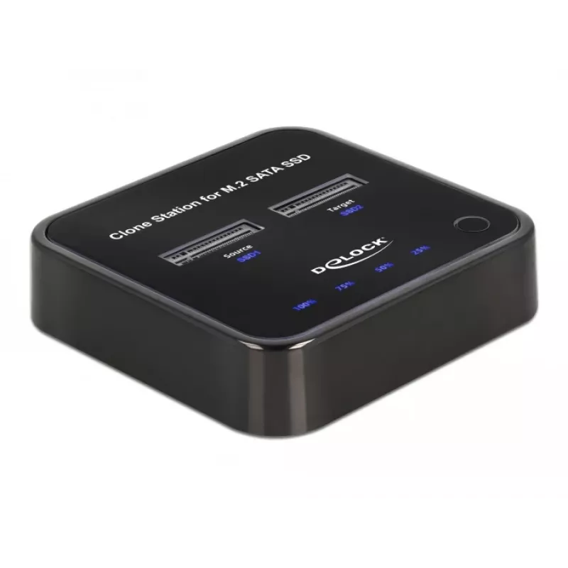 DeLOCK 64178 Docking Station USB 3.2 Gen 2 Type-C M.2 SATA SSD