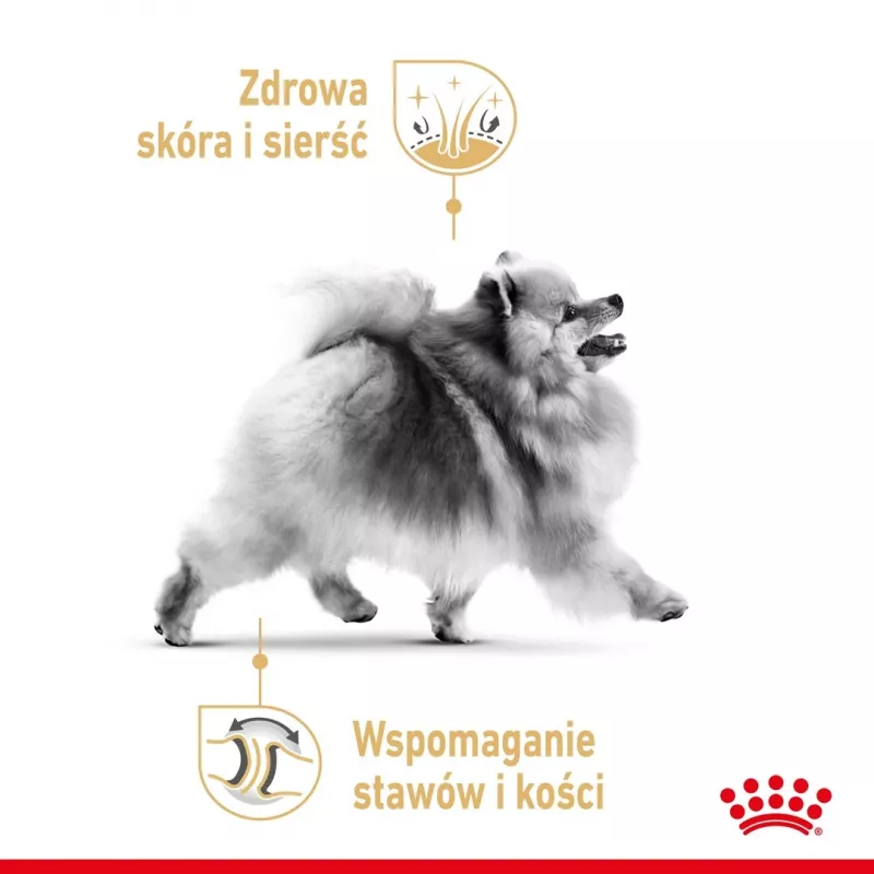 Sausas šunų ėdalas Royal Canin Pomeranian Adult 3 kg – smulkių veislių šunų receptūra suaugusiems pomerniams