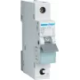 Hager MBS125 automatinis jungiklis 25A 1 modulis B charakteristika