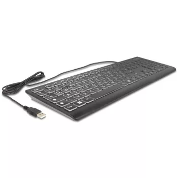 DeLOCK 12170 Klaviatūra universali USB QWERTZ vokiška juoda mechaninė RGB