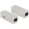 Tinklo viršįtampių ribotuvas Delock 6 kV RJ45 su PoE (62620)