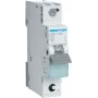 Automatinis jungiklis Hager MBS106 6A 1 modulis B charakteristika