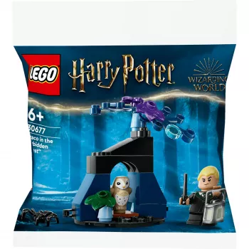 LEGO Harry Potter rinkinys 30677 – Drakas Uždraustajame miške minifigūrėlės scena