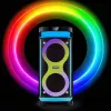 Nešiojama kolonėlė MANTA SPK0601B100, 100 W, Bluetooth, karaoke, belaidis mikrofonas, baterija, ekvalaizeris, disko apšvietimas