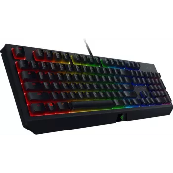 Razer BlackWidow V3 – laidinė žaidimų klaviatūra su RGB LED apšvietimu, NORD