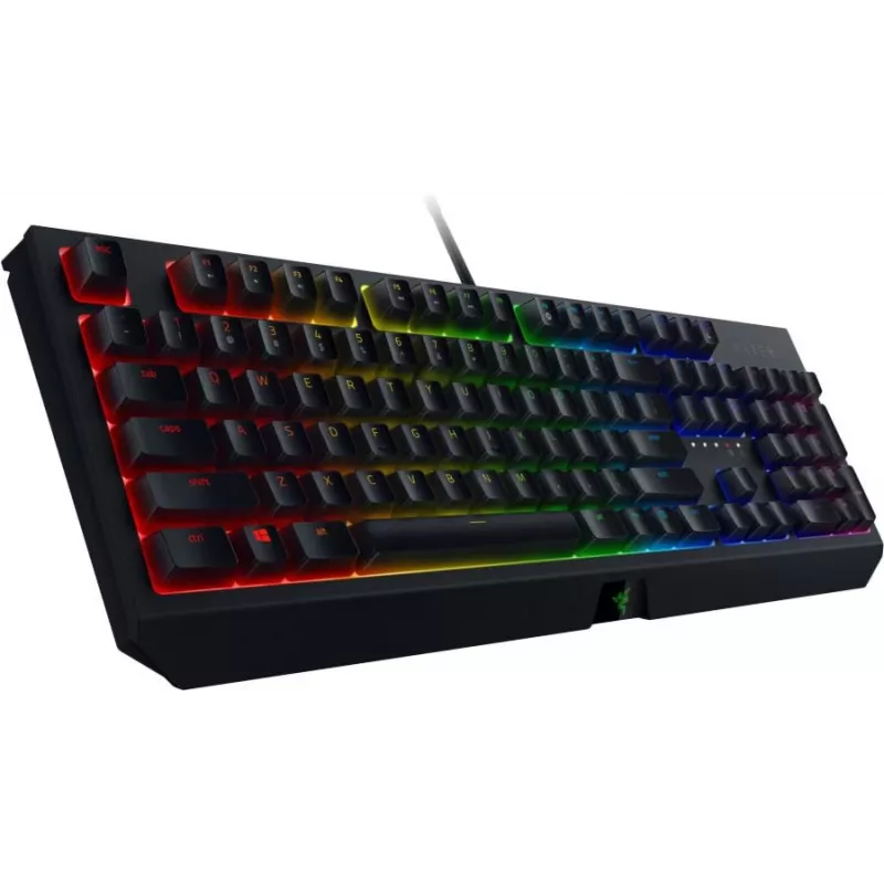 Razer BlackWidow V3 – laidinė žaidimų klaviatūra su RGB LED apšvietimu, NORD