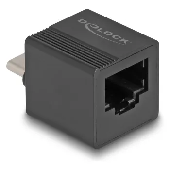 DeLOCK USB Type-C adapteris į Gigabit LAN mini juodas