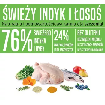 ARQUIVET Fresh Puppy Turkey and Salmon - pusiau drėgnas šunų ėdalas - 10 kg