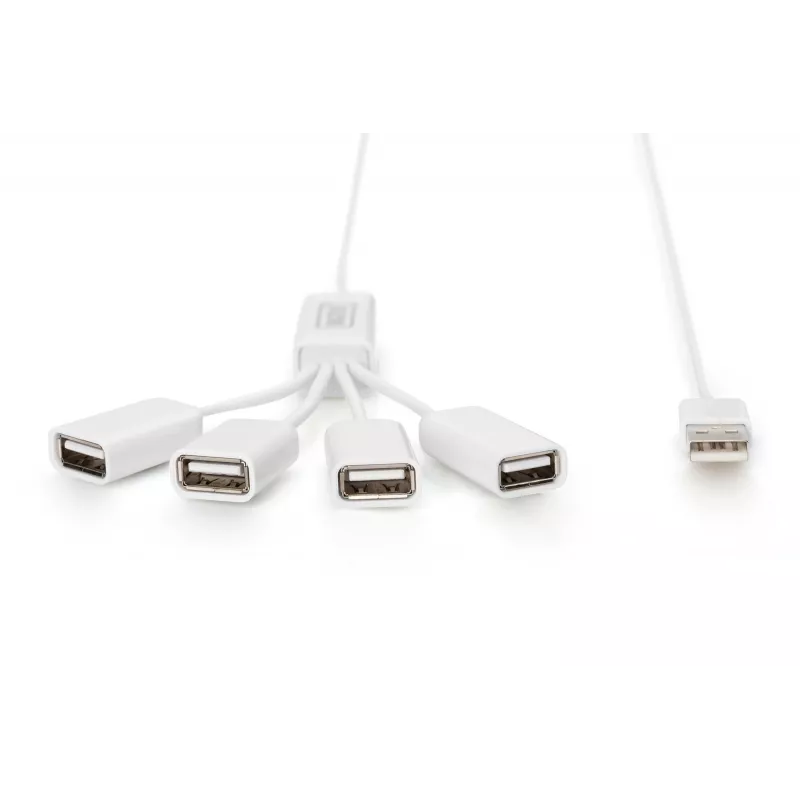 Delock USB adapter - USB A (mot.) į USB-C (pat.)