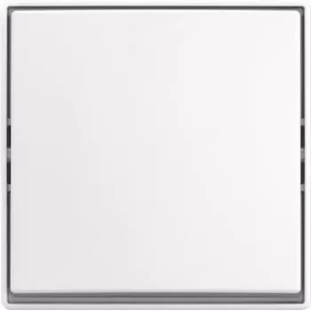 BUSCH JAEGER Jungiklis svirtinis AP 2601/6 J-524 (2TKA00005521)