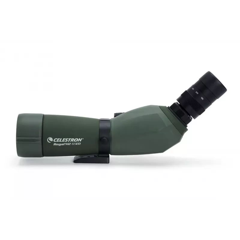 Celestron Regal M2 65ED stebėjimo vamzdis 48x BaK-4 Juoda, Žalia