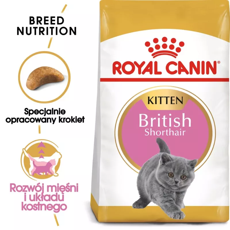 Sausas kačių ėdalas Royal Canin British Shorthair Kitten 2 kg – vištiena, 38% baltymų, 20% riebalų, augimo formulė
