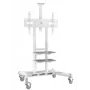 ONKRON TS1881-W TV stovas 50–86 colių televizoriams, Baltas, laisvai pastatomas universalus laikiklis