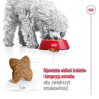 Sausas šunų ėdalas Royal Canin Adult Mini S 8 kg – visavertė mityba mažų veislių suaugusiems šunims