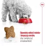 Sausas šunų ėdalas Royal Canin Adult Mini S 8 kg – visavertė mityba mažų veislių suaugusiems šunims