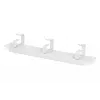 Kabelių tvarkymo panelė Digitus DN-10 ORG-1U 10 inch 1U