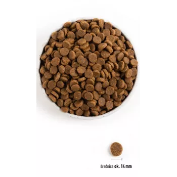 ACANA Senior sausas šunų ėdalas - 11,4 kg