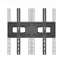 TV laikiklis 21-75'' 50kg, MC-788