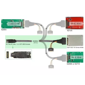 DeLOCK M.2 Key M į U.2 SFF-8639 NVMe adapteris su 50 cm laidu
