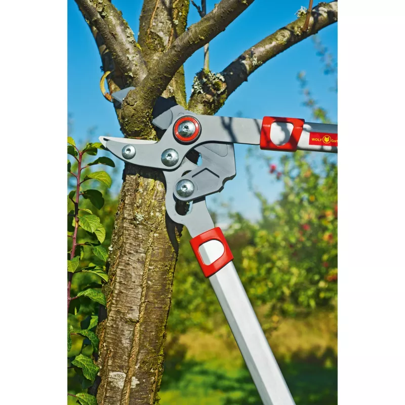 Sekatorės WOLF-Garten POWER CUT RS 650 BASIC PLUS