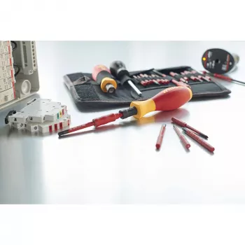 Torx sukamasis dinamometrinis atsuktuvų rinkinys Wiha 36791