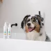 VETEXPERT Clinic Care Hypo&Omega 250 ml hipoalerginis drėkinamasis šampūnas katėms su omega riebalų rūgštimis