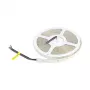 Synergy 21 LED lanksti juosta 5050 - 60 RGB DC24V + RGB-W viename luste SWW IP65