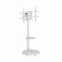 Grindinis TV stovas GEMBIRD TVS-86TR-01-W 37–86 colių televizoriams, baltas, pasukamas ir pakreipiamas, VESA 200x200–600x400, maks. apkrova 50 kg
