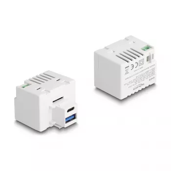 DeLOCK Keystone modulis USB Type-A USB Type-C PD 20 W baltas