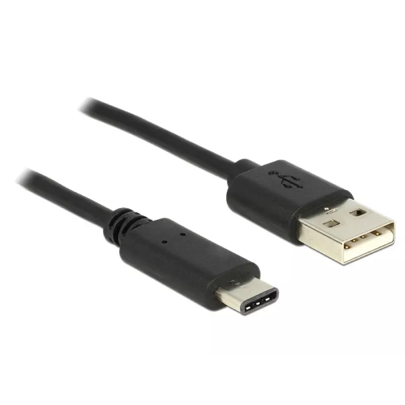 USB laidas DeLOCK 0,5 m USB 2.0-A – USB 2.0-C