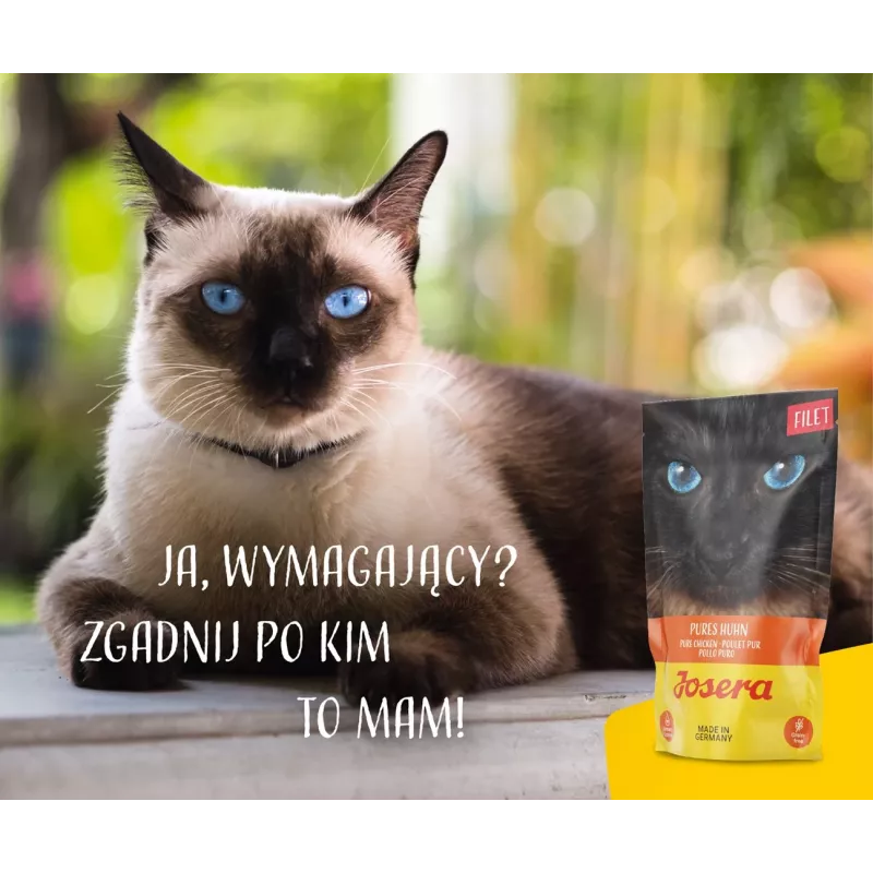 JOSERA Chicken Filet - šlapias kačių ėdalas - 70 g