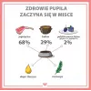 Šlapias šunų ėdalas PUPIL Premium All Meat Gold Sėdynė iš ėrienos - 800g