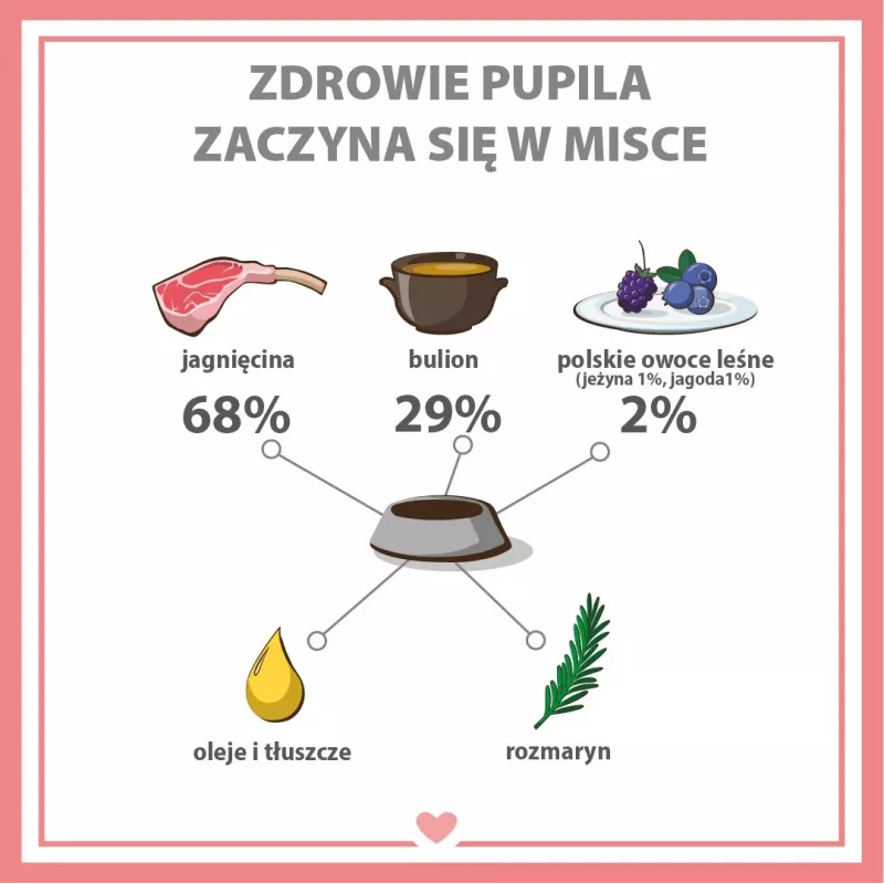 Šlapias šunų ėdalas PUPIL Premium All Meat Gold Sėdynė iš ėrienos - 800g