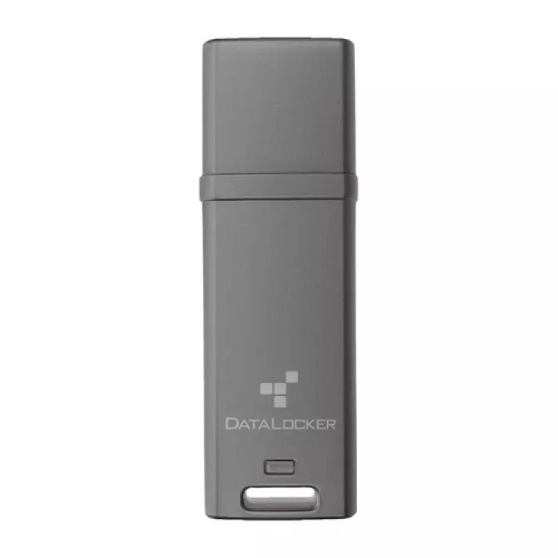 DataLocker 64GB DL GO 256BIT - „Flash“ atmintinė - įvairių spalvų (DLGO-064)