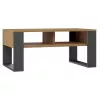 Staliukas kavos stalas Top e shop Modern 90×58×50 cm, antracitinis rėmas, matinės Artisan ąžuolo lentynos